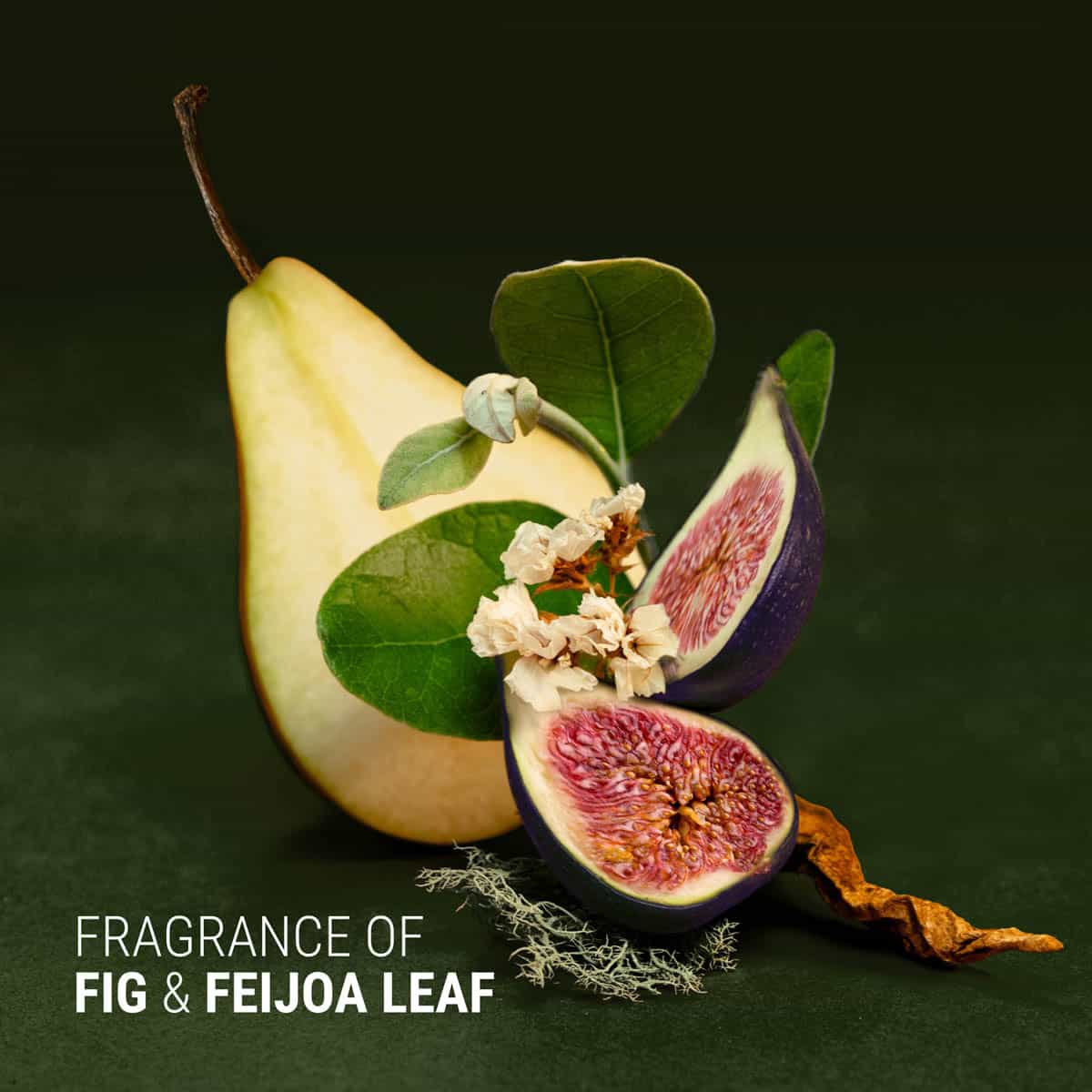 Fig + Feijoa Repair & Nourish Conditioner - Image 3