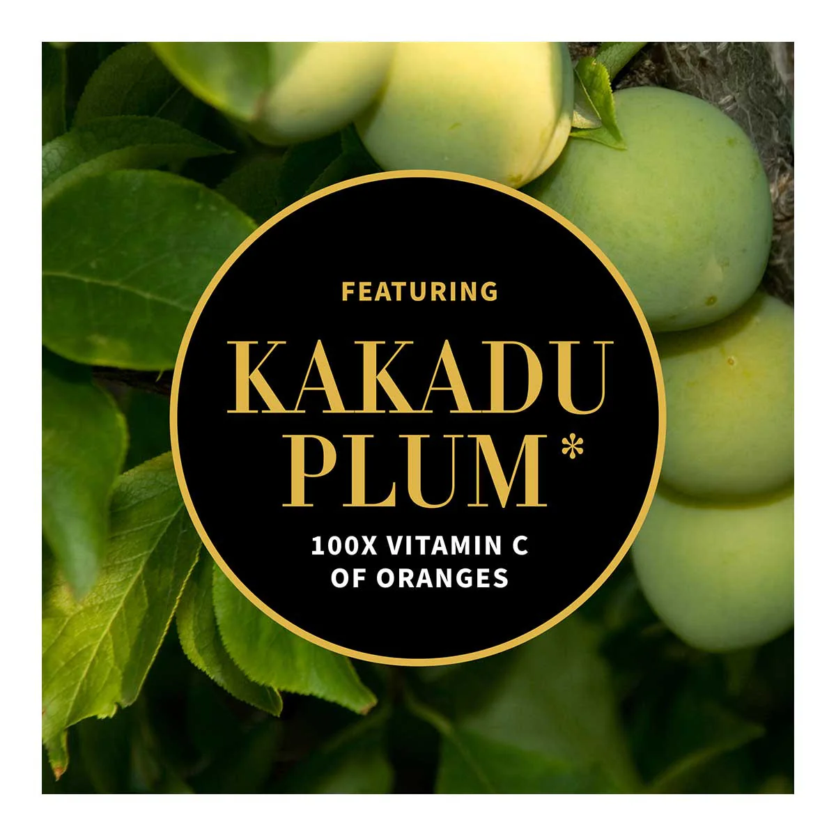 Gospel Vitamin C Skin-Glow Gel Cleanser - Image 4