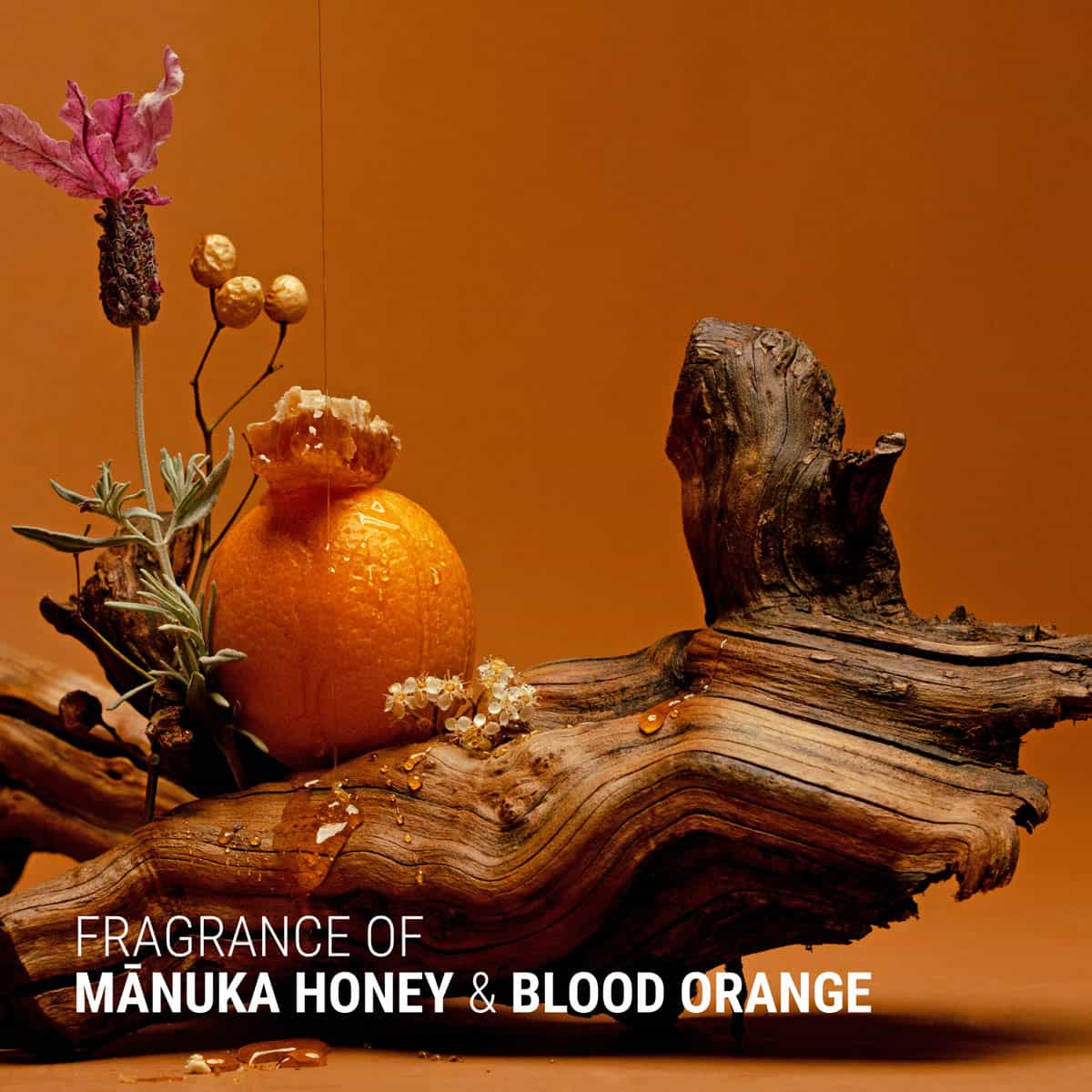 Manuka + Orange Volume & Shine Conditioner - Image 3