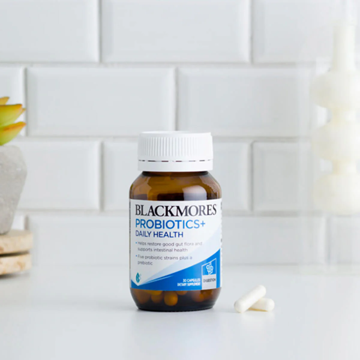 Probiotics+ Daily Health - Image 2