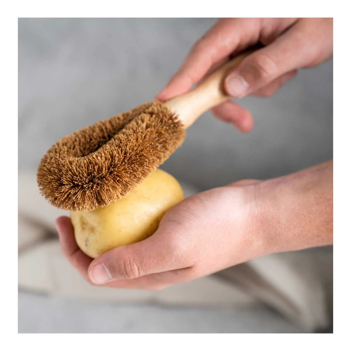 Vege Brush - Image 2