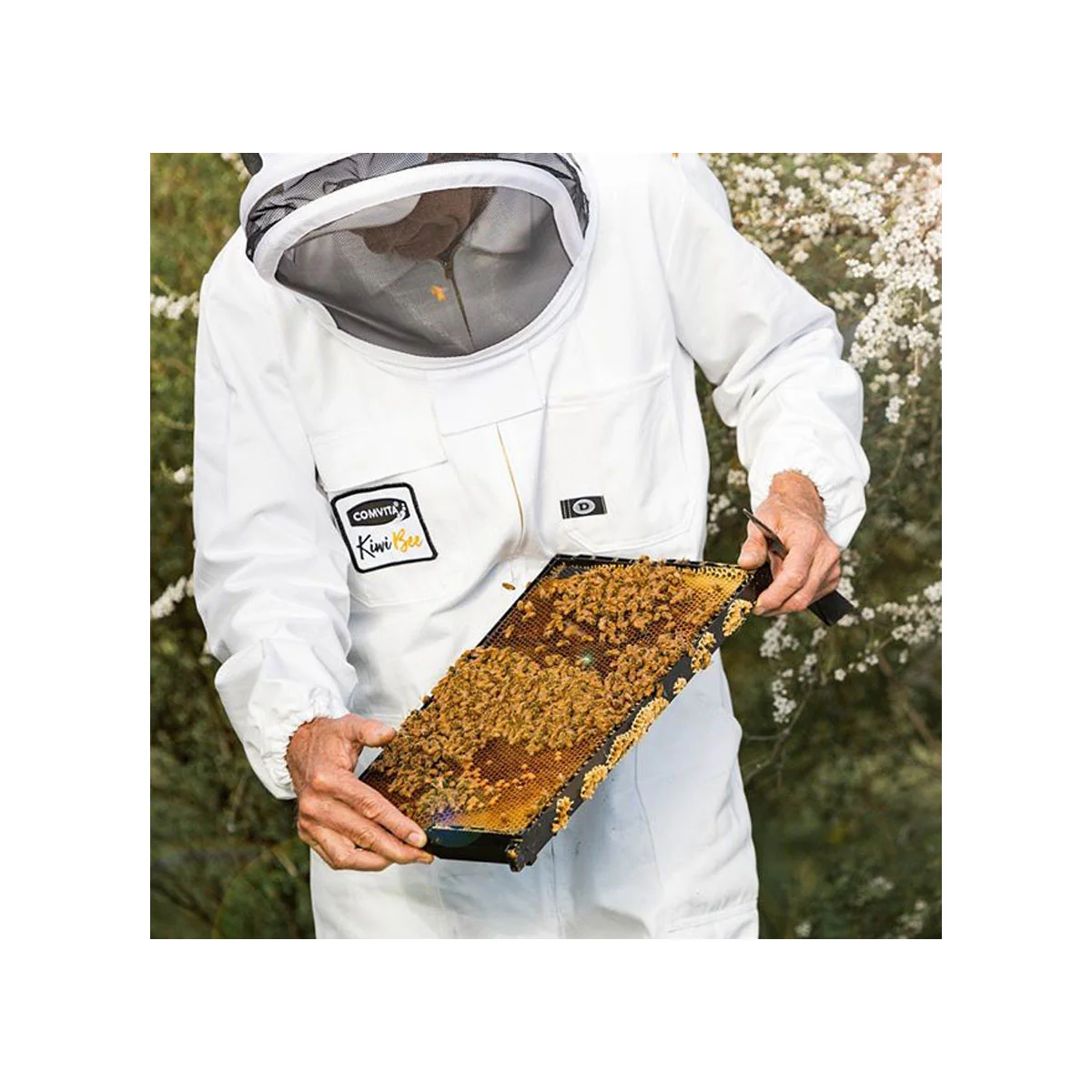 UMF 5+ Manuka Honey - Image 3