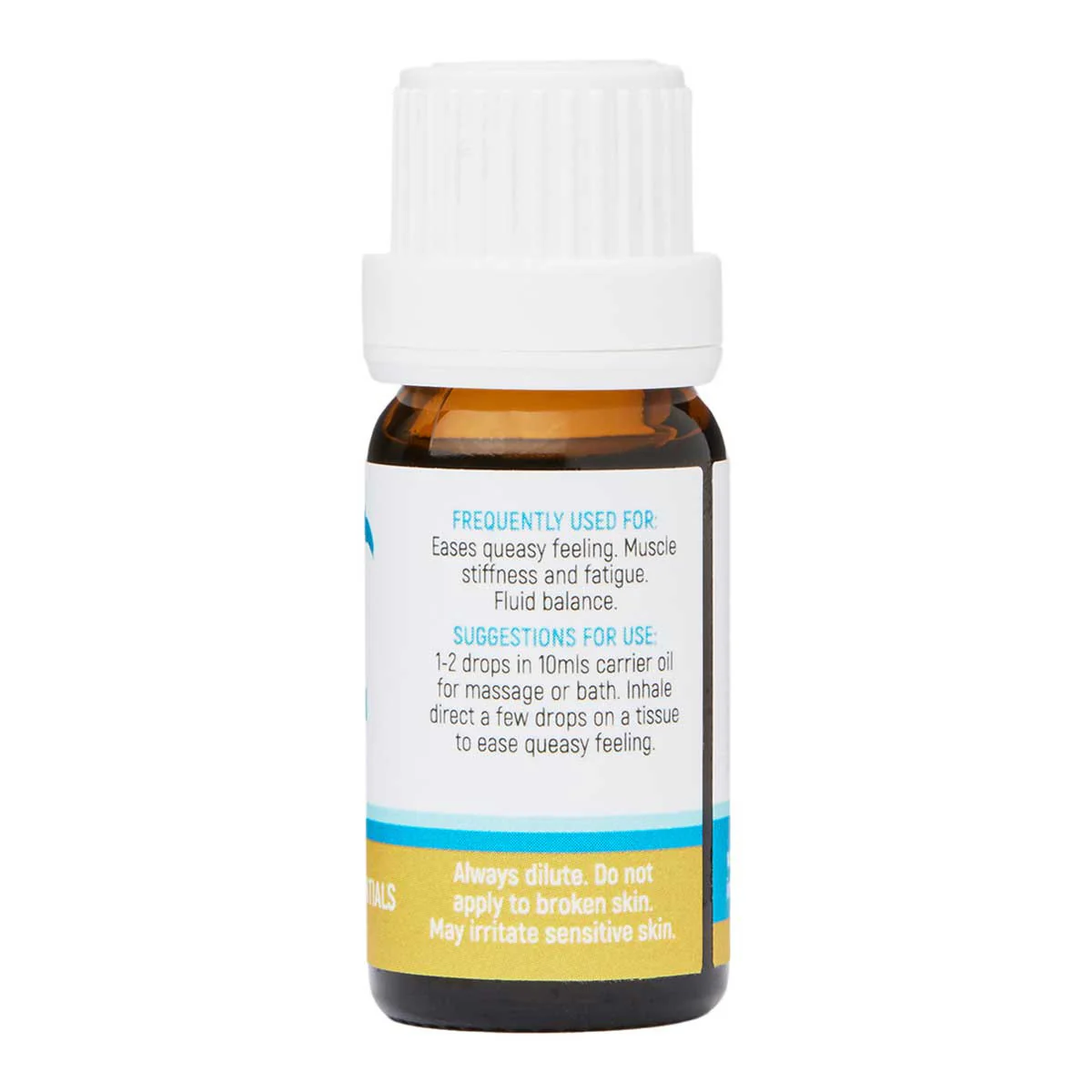 Ginger Pure Essential Oil - Image 2