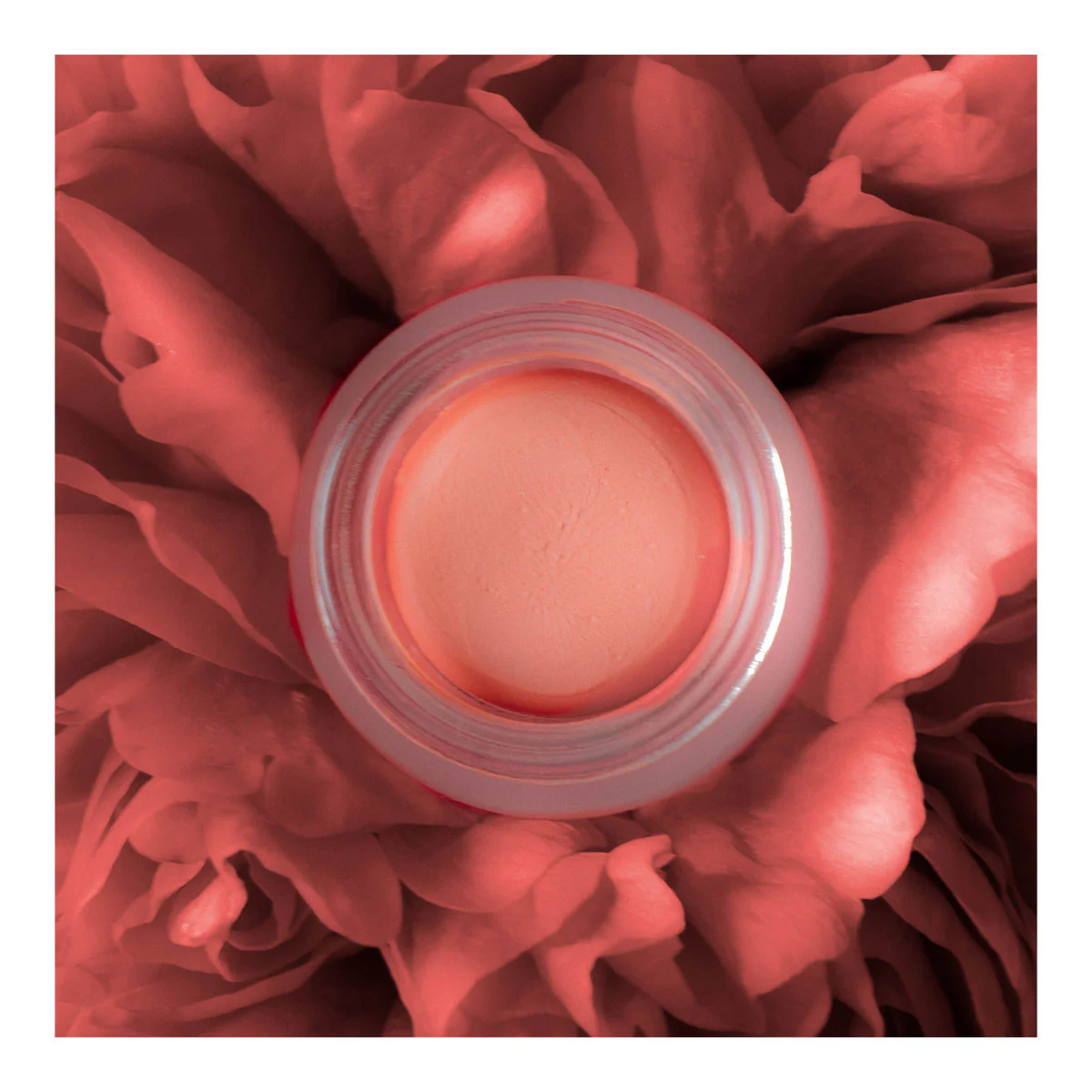 Cream Blush - Image 3