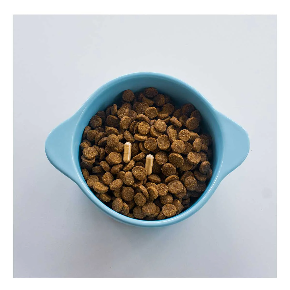 New Zealand Green Lipped Mussel for Cats & Dogs - Image 2