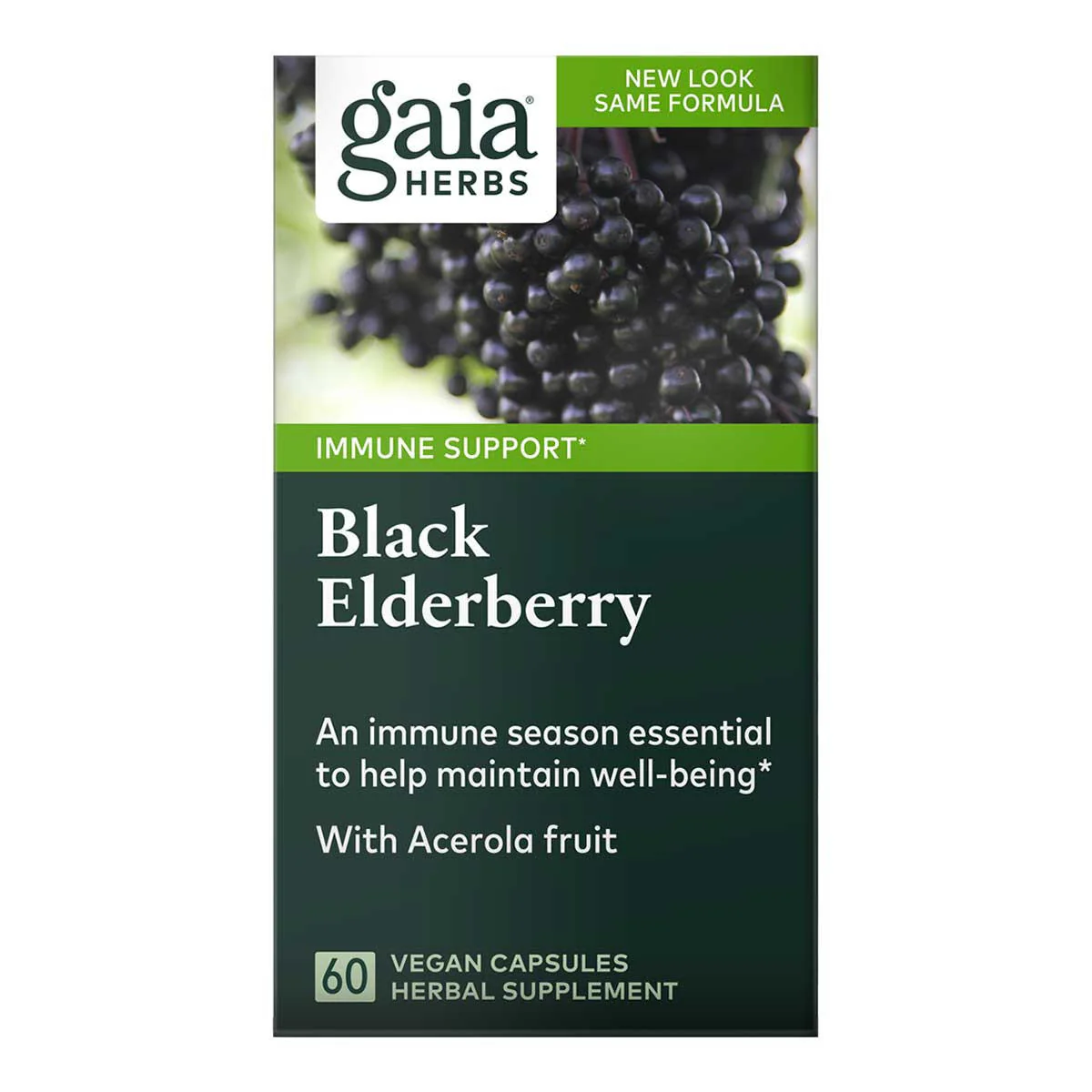 Black Elderberry - Image 2