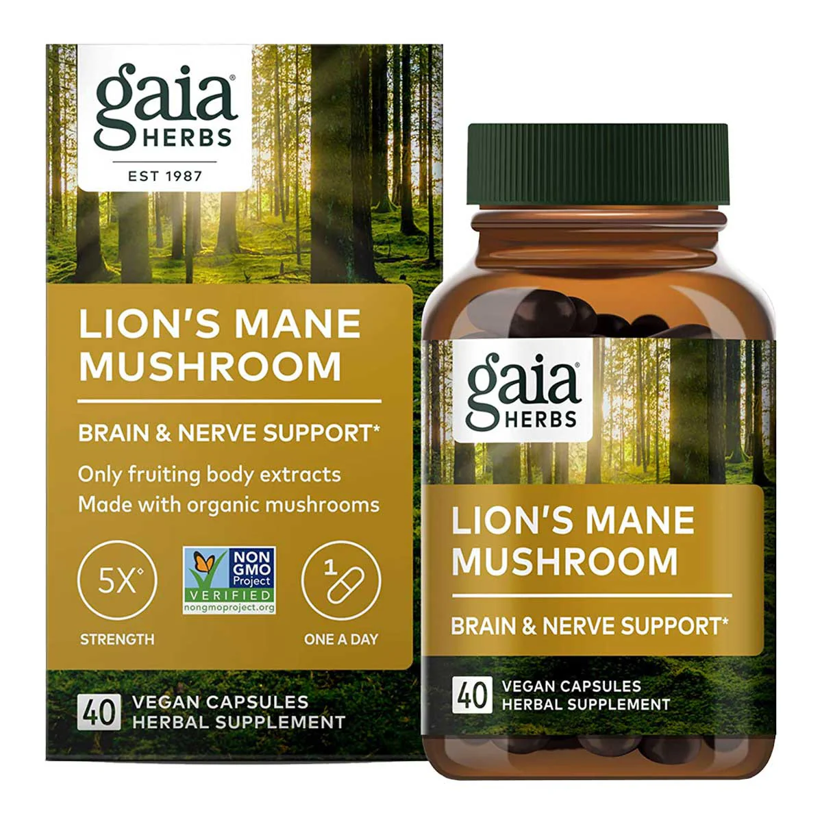 Lion's Mane Mushroom Brain & Nerve Support - Image 2