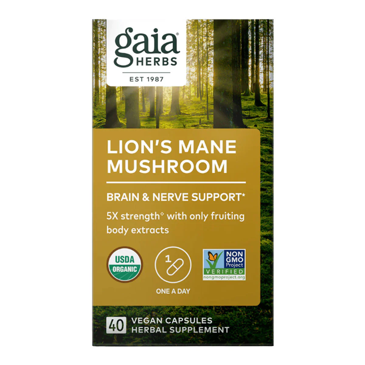 Lion's Mane Mushroom Brain & Nerve Support - Image 3