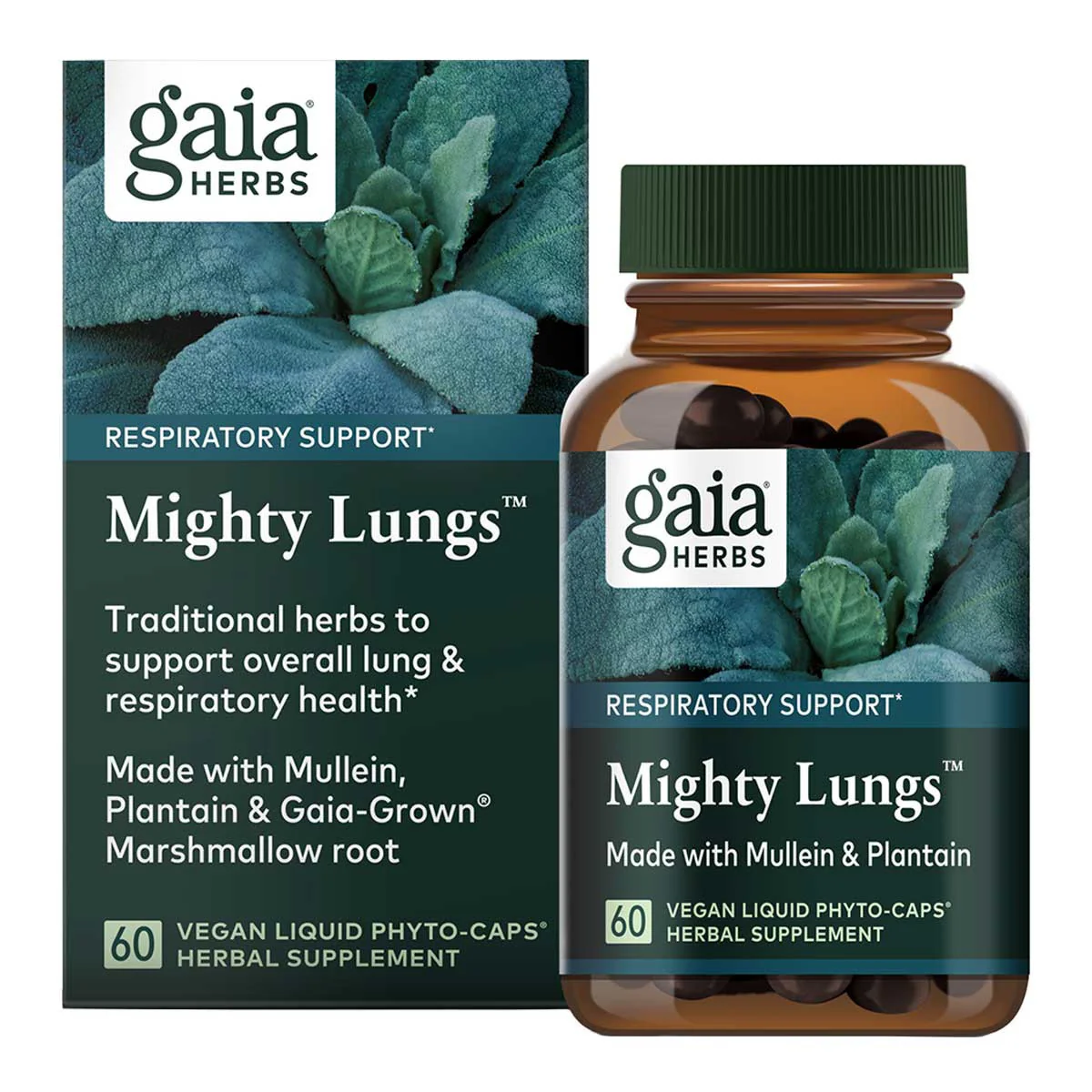 Mighty Lungs - Image 2