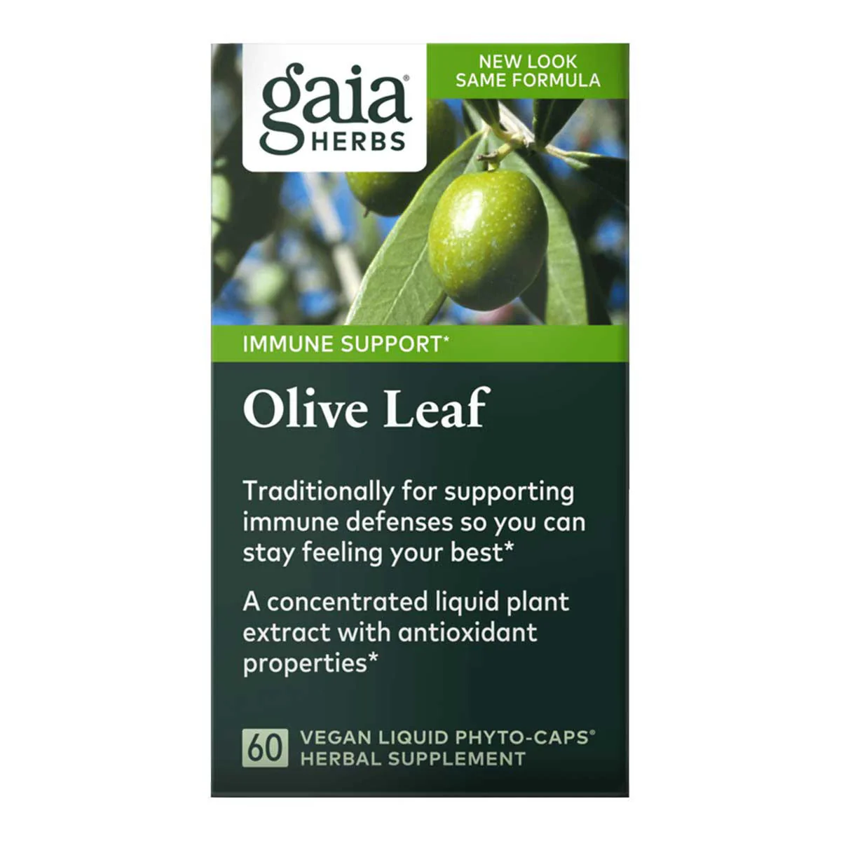 Olive Leaf - Image 2