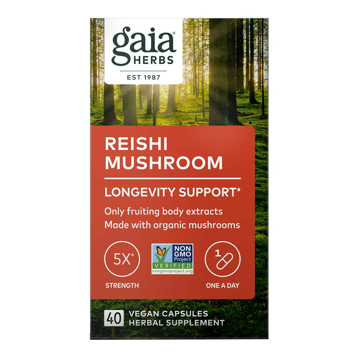 Reishi Mushroom Longevity Support - Image 2