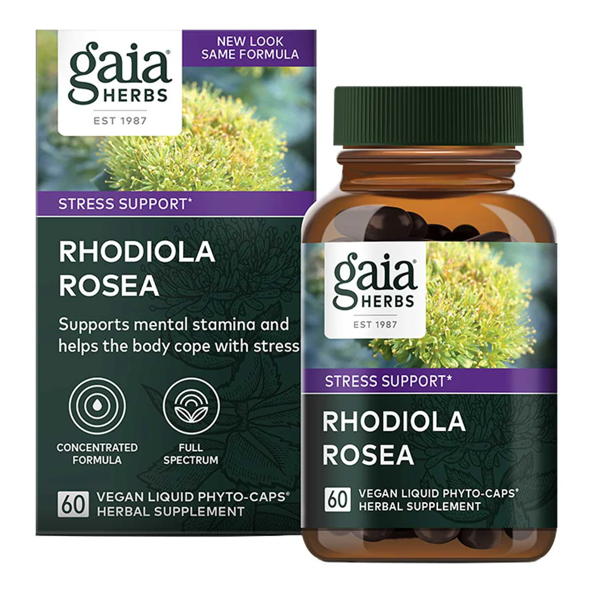 Rhodiola Rosea - Image 2