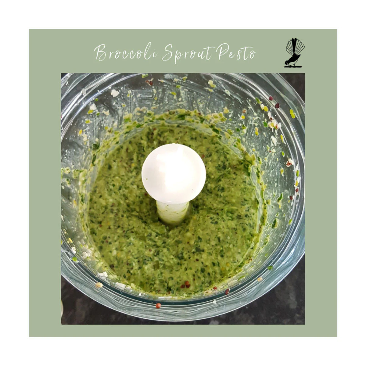 NZ Grown Sprout Seeds - Image 2