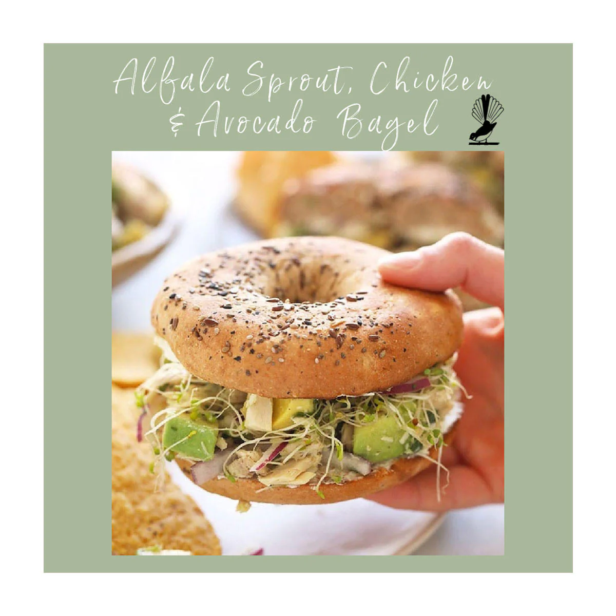 Organic Alfalfa Sprout Seeds - Image 2