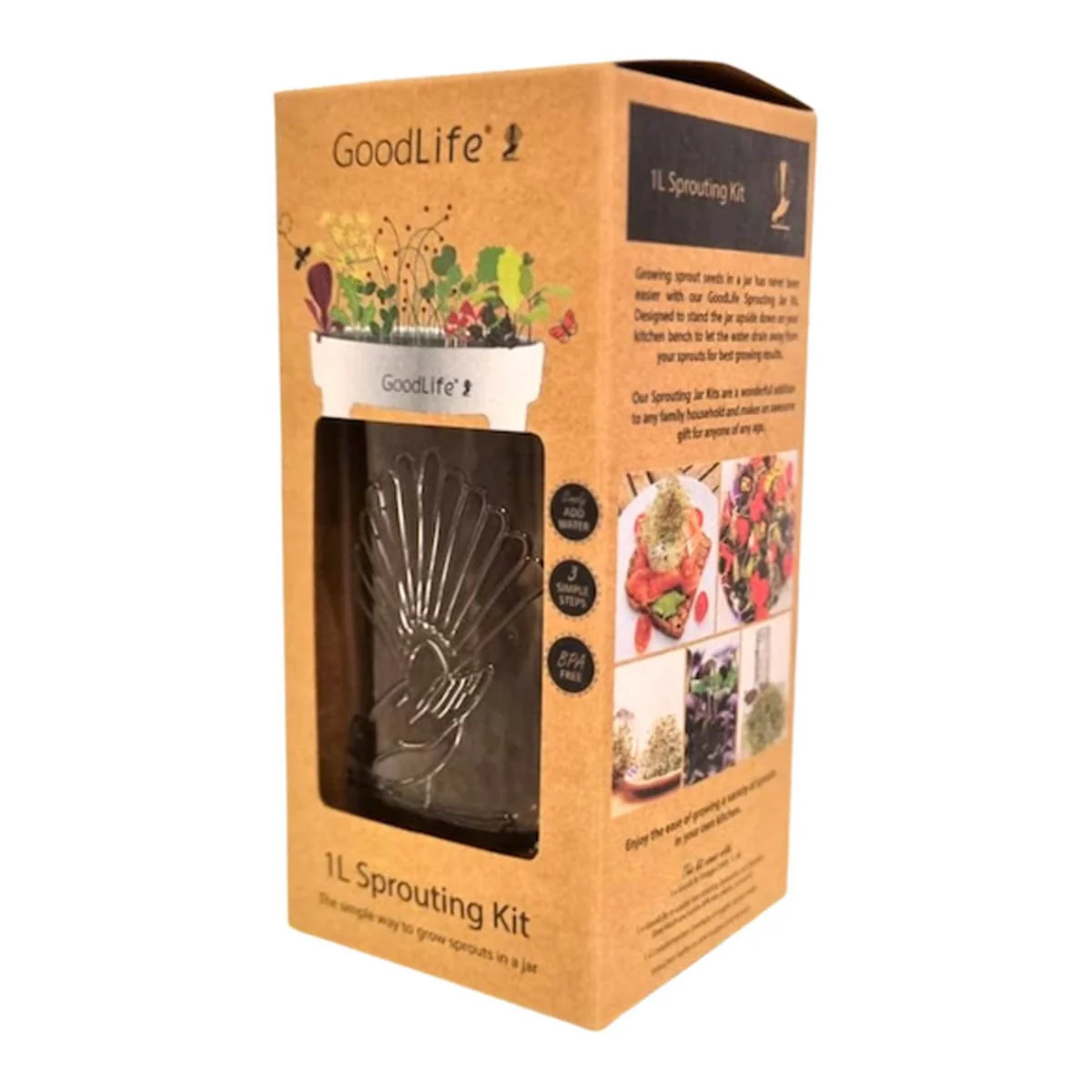 Sprouting Jar Kit Gift Box Set - Image 3