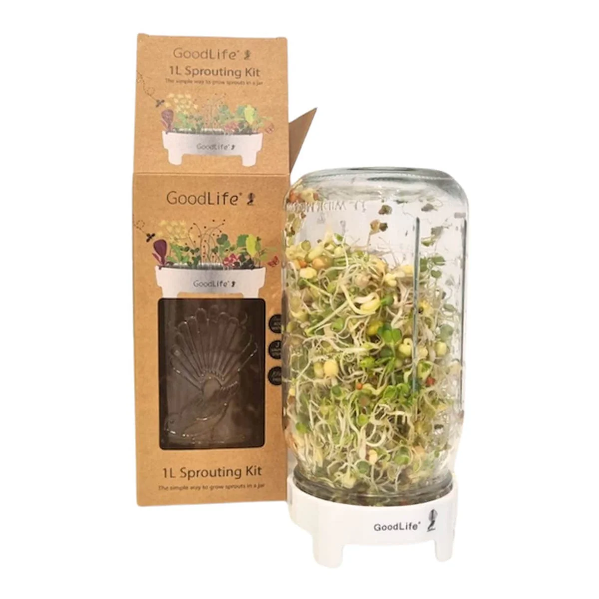 Sprouting Jar Kit Gift Box Set - Image 4