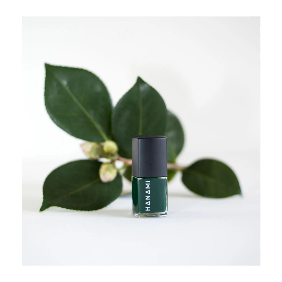 Octopus's Garden Nail Polish - Image 3