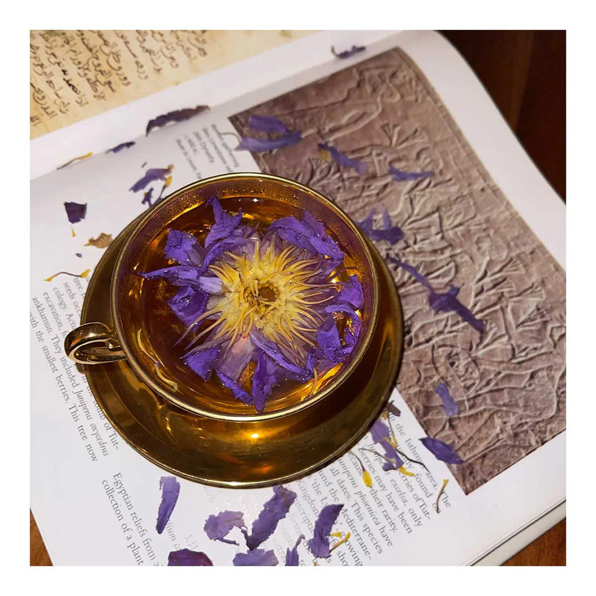 Blue Lotus Whole Flowers - Image 3