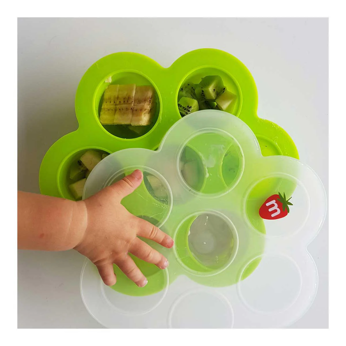 Food Storage Tray 7 compartment - Green - Image 2