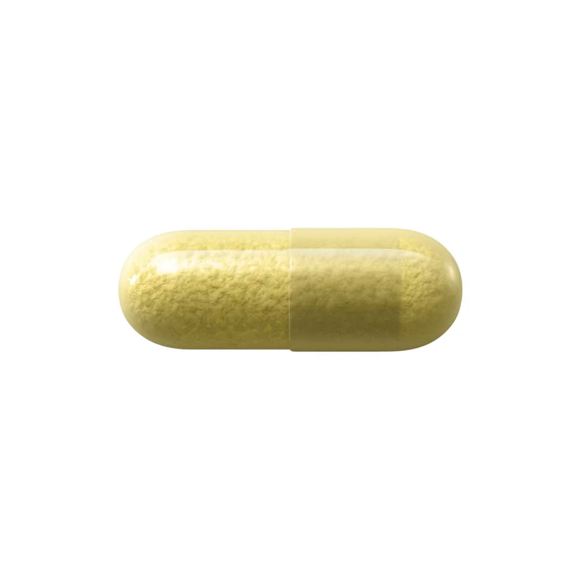 Milk Thistle Bioactive - Image 5