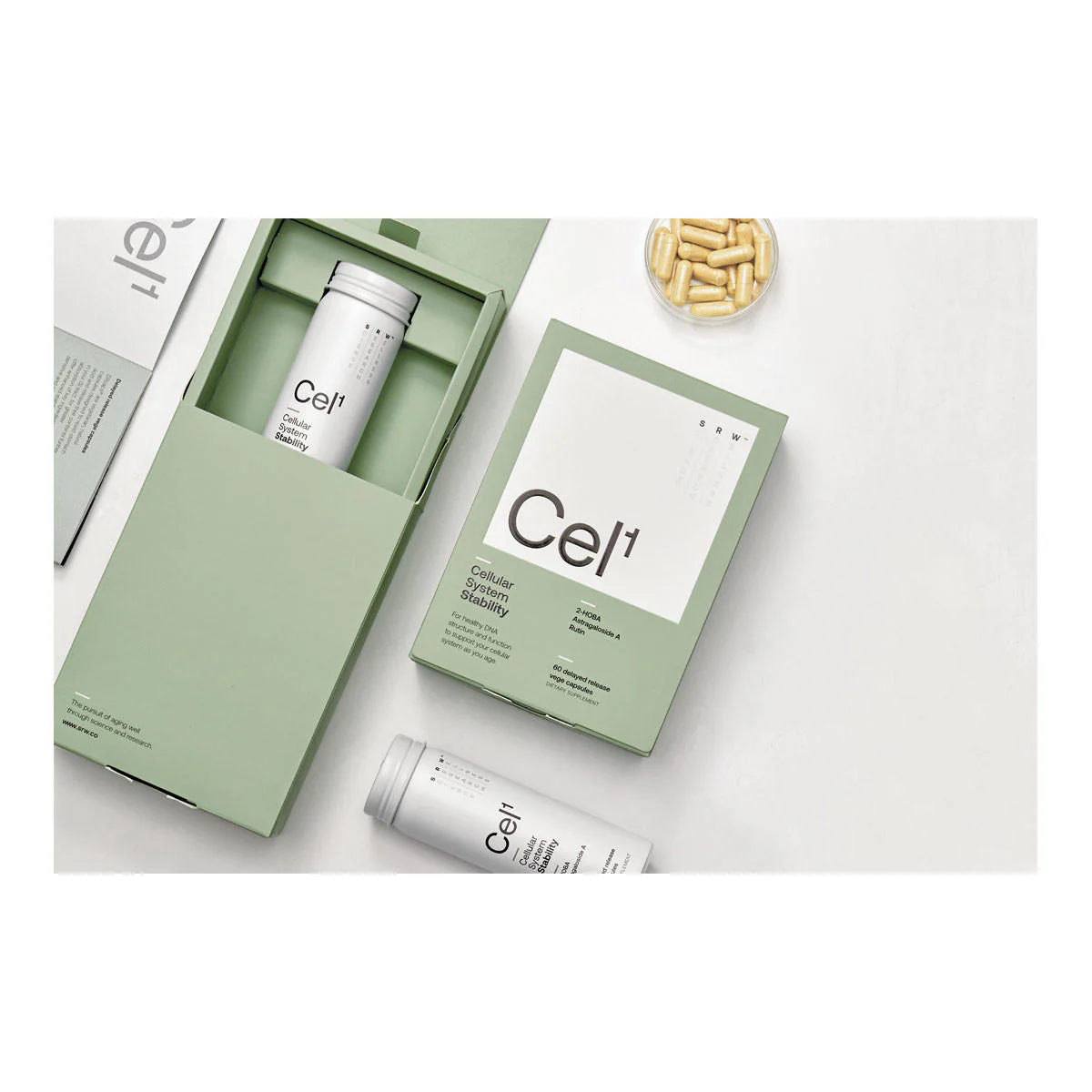 CEL1 - Stability - Image 3