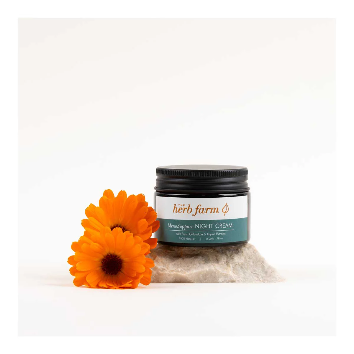 MenoSupport Night Cream - Image 2
