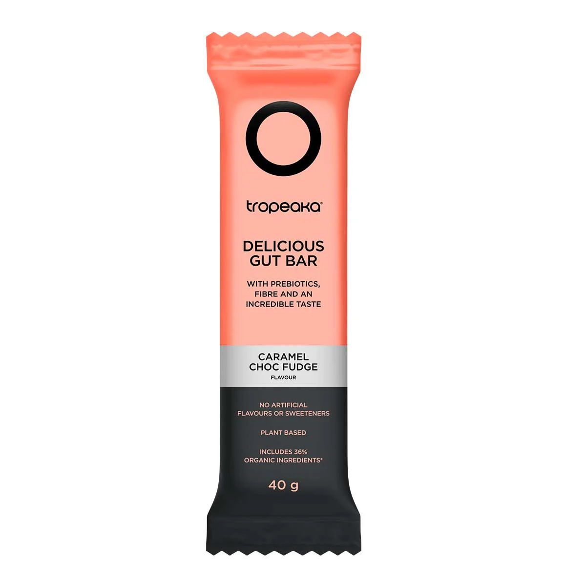Delicious Gut Bar - Caramel Choc Fudge