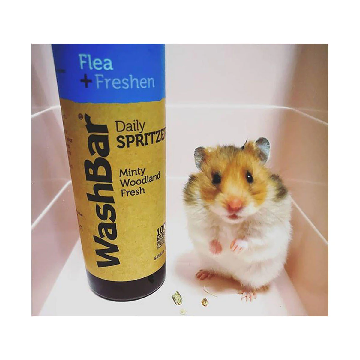 Daily Spritzer Flea + Freshen - Image 2