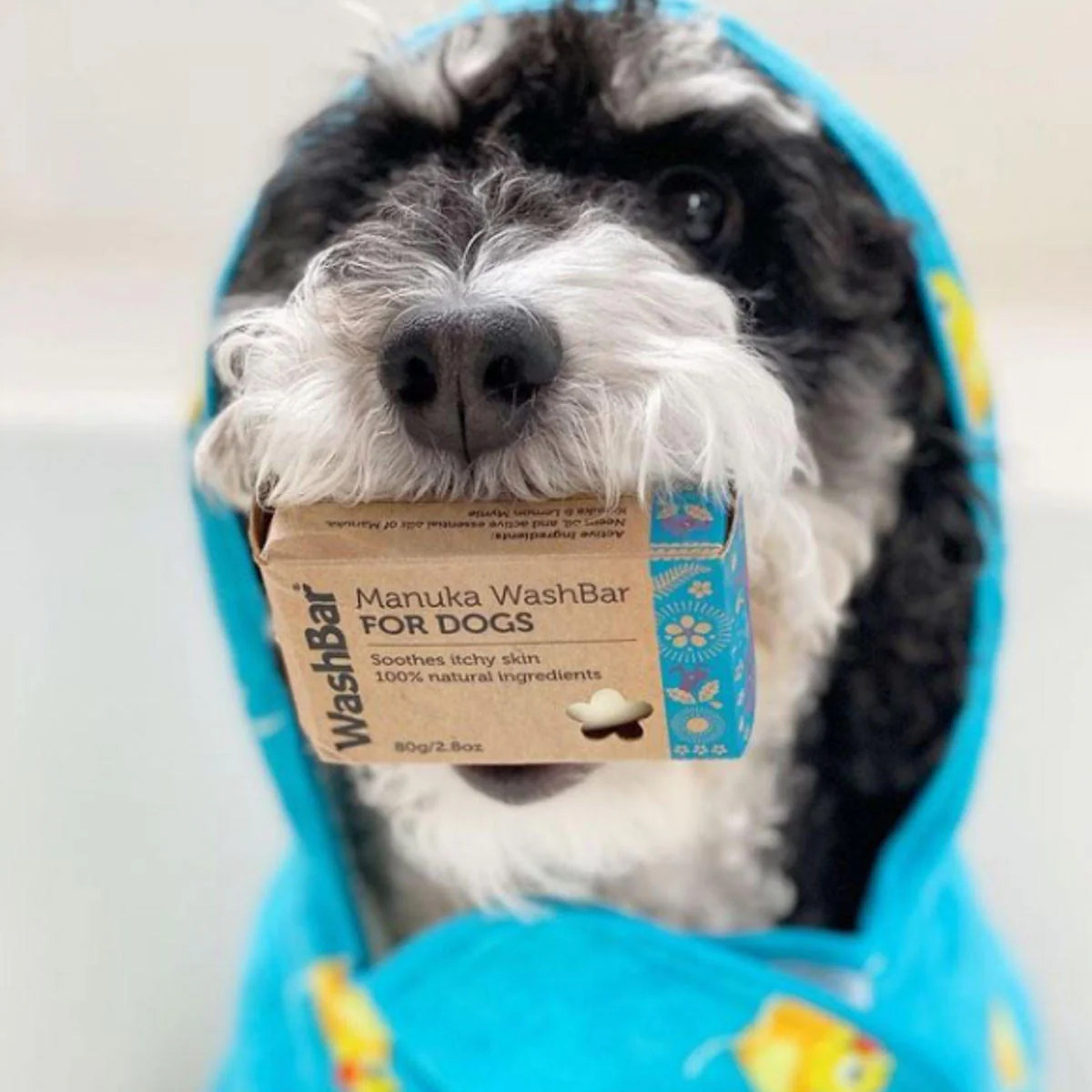 Manuka WashBar For Dogs - Image 2