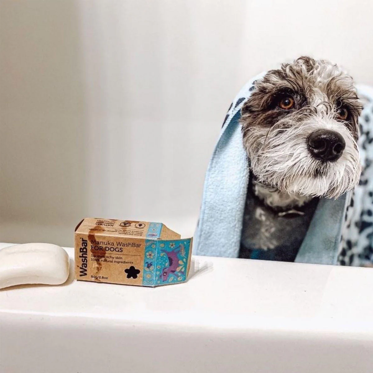 Manuka WashBar For Dogs - Image 3
