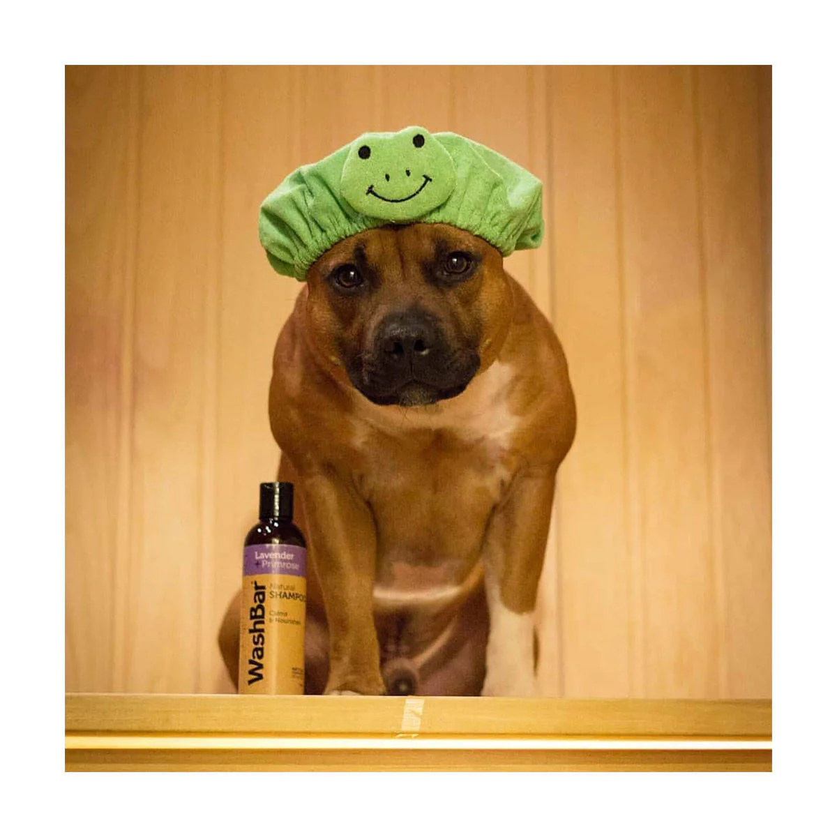 Natural Shampoo Lavender + Primrose - Image 2