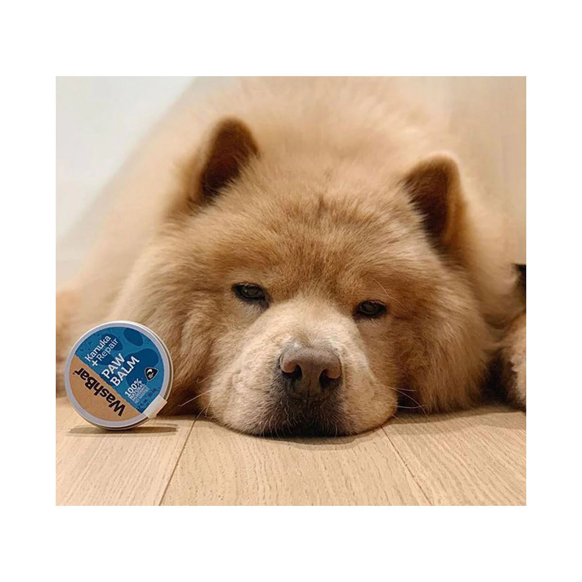 Paw Balm Kanuka + Repair - Image 2