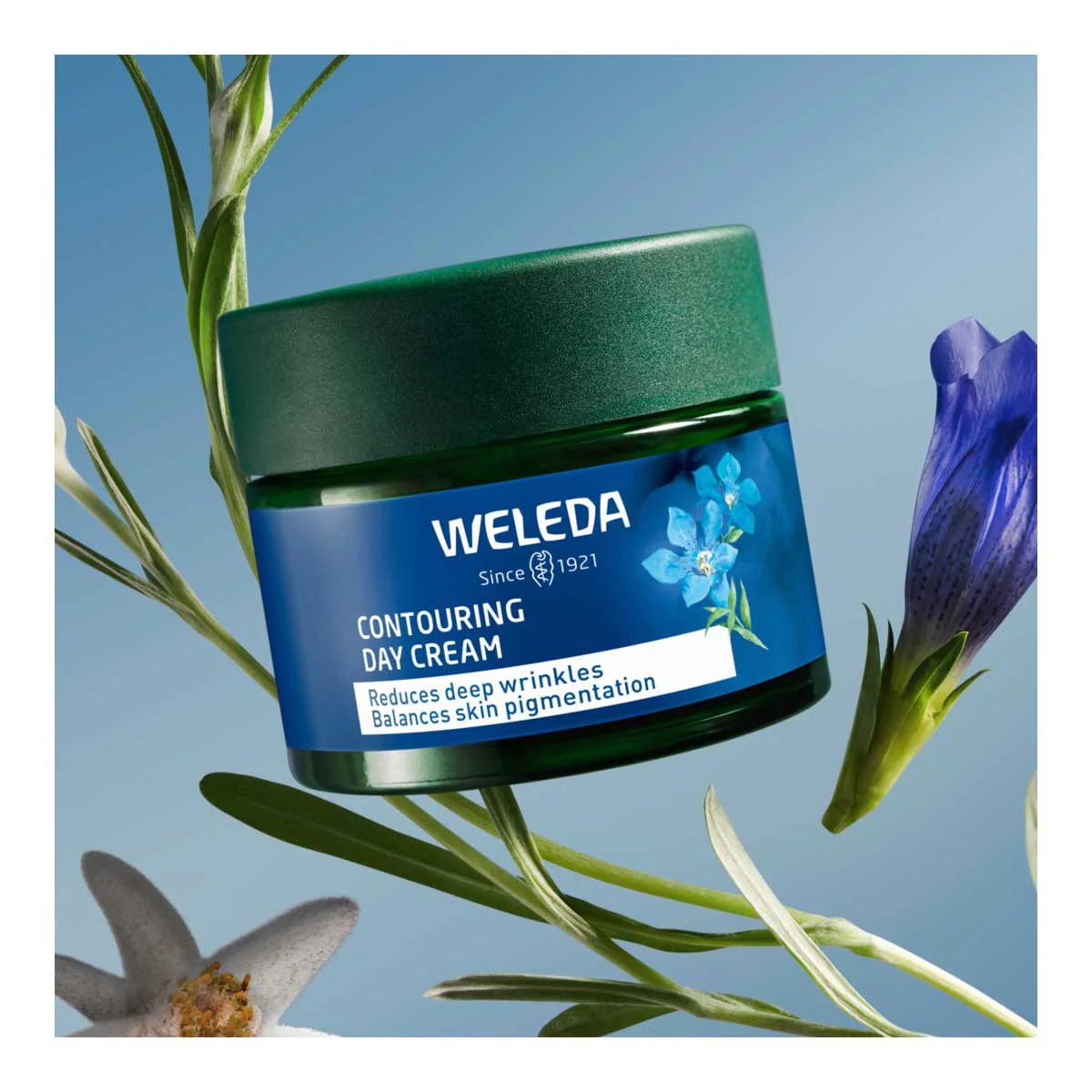 Contouring Day Cream - Blue Gentian & Edelweiss - Image 4