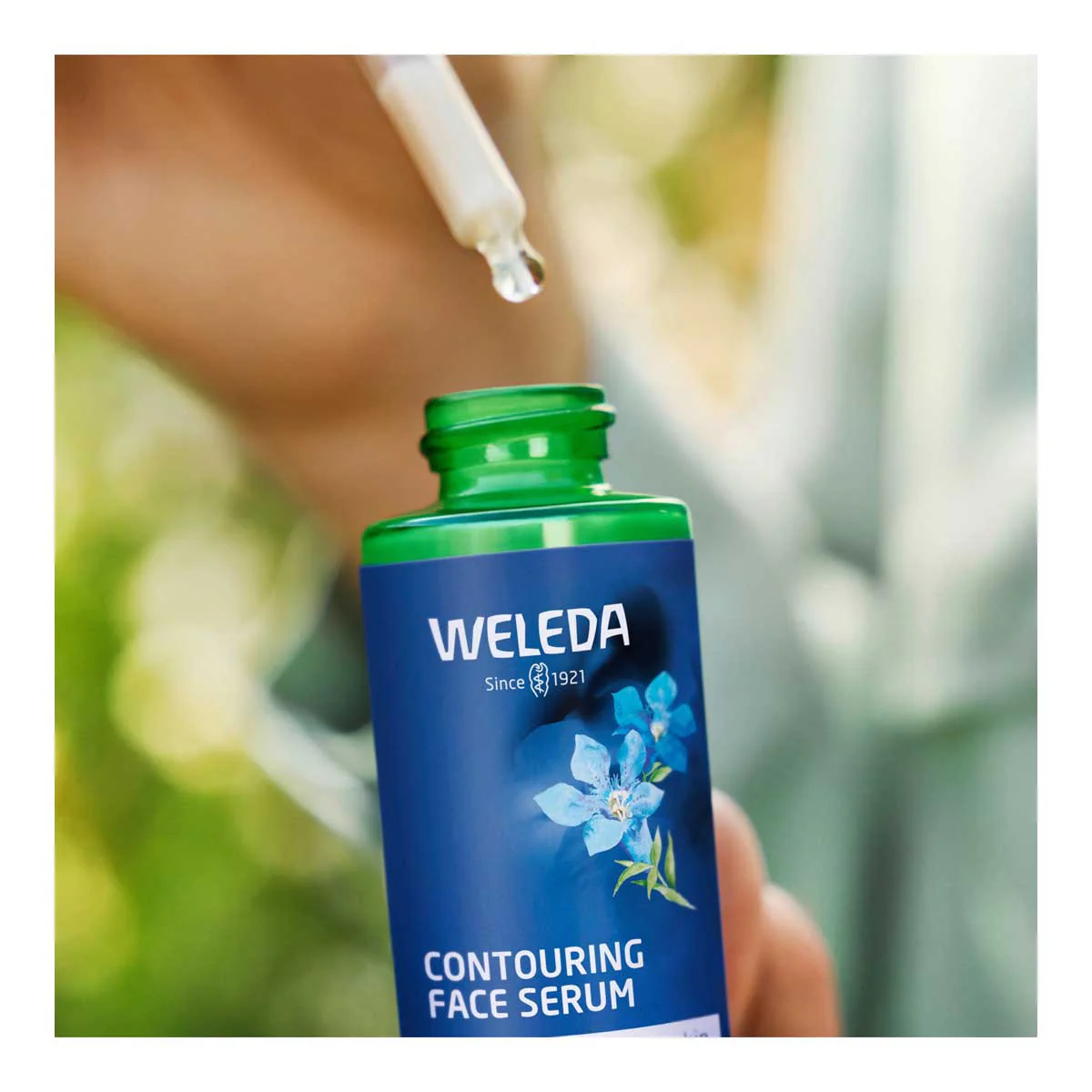 Contouring Face Serum - Blue Gentian & Edelweiss - Image 3