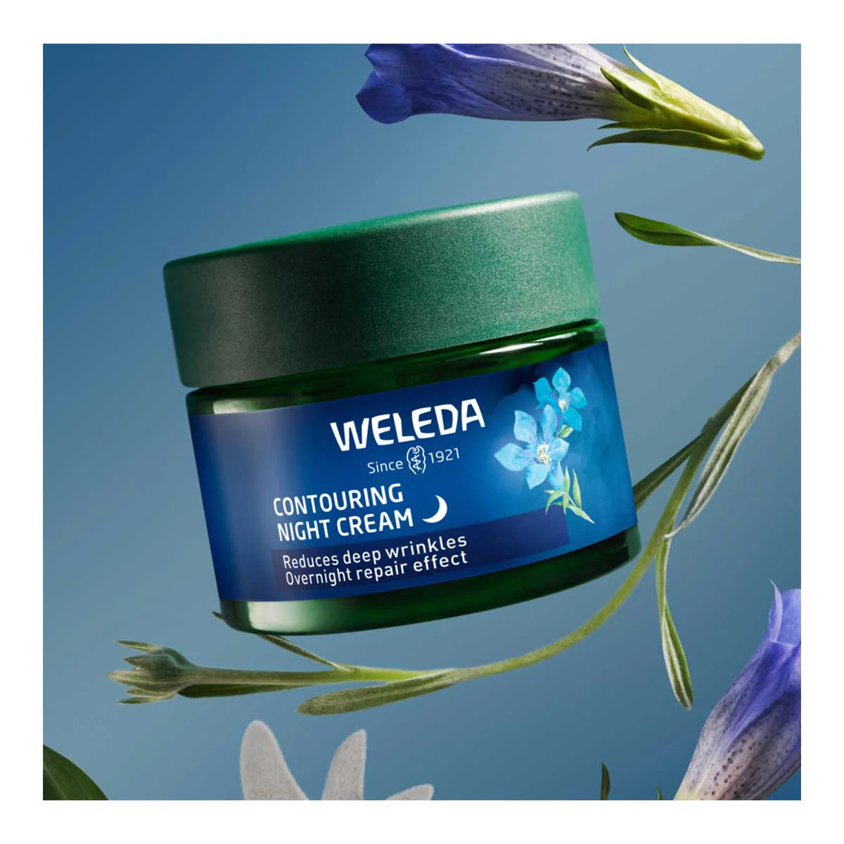 Contouring Night Cream - Blue Gentian & Edelweiss - Image 3